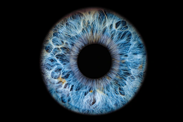 Iridology: Exploring the Practice of Ocular Diagnosis